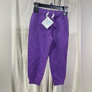 (NWT) Hanna Andersson Purple Jogger Sweatpants